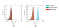 Anti-ACVR2A antibody(15D6), IgG1 Chimeric mAb – Figure 1 of 1