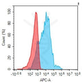 Anti-AREG antibody(1B12), IgG1 Chimeric mAb – Figure 1 of 1