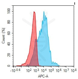 Anti-AREG antibody(1B12), IgG1 Chimeric mAb – Figure 1 of 1
