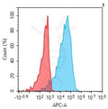 Anti-IL12RB1 antibody(1F11), IgG1 Chimeric mAb – Figure 1 of 1