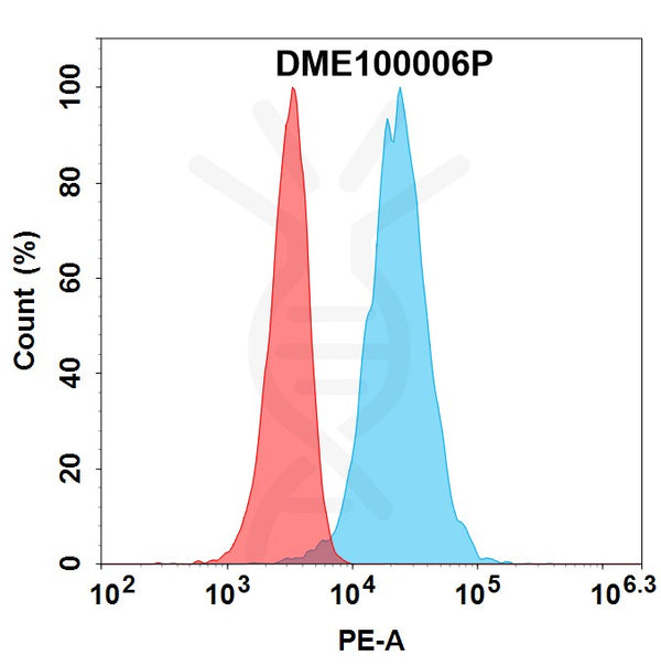 PE-conjugated Anti-BCMA antibody(DM6), Rabbit mAb – Figure 1 of 1