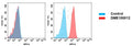 Anti-CD22 antibody(8B5), Rabbit mAb – Figure 1 of 1