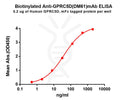 Biotinylated Anti-GPRC5D antibody(DM61), Rabbit mAb – Figure 1 of 1