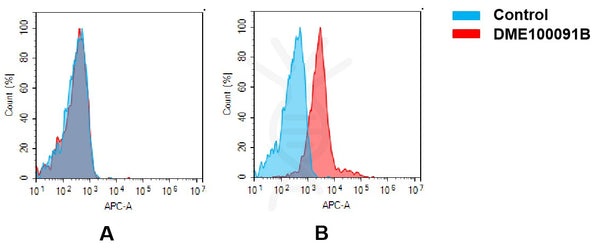 Biotinylated Anti-GPRC5D antibody(DM91), Rabbit mAb – Figure 1 of 1