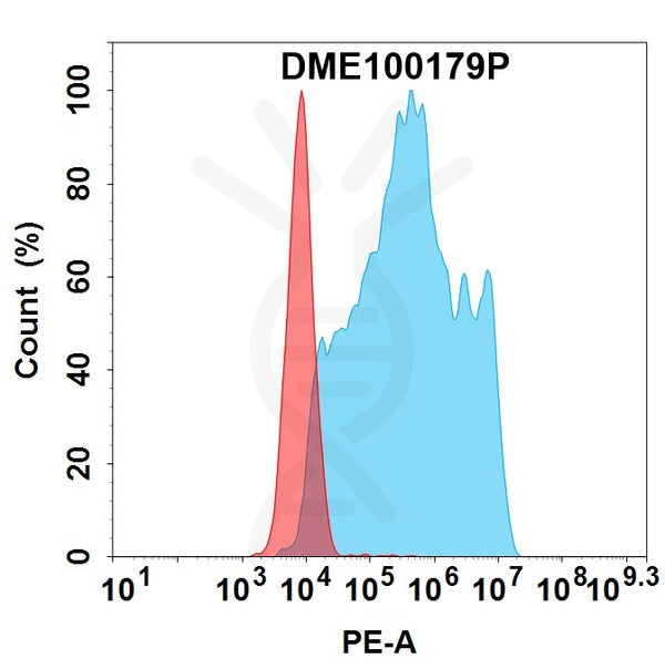 PE-conjugated Anti-CLDN18.2 antibody(DM179), Rabbit mAb – Figure 1 of 1