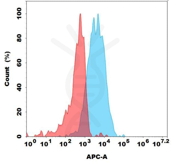 Biotinylated Anti-CD70 antibody(DM191), Rabbit mAb – Figure 1 of 1