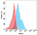 Biotinylated Anti-CD73 antibody(DM204), Rabbit mAb – Figure 1 of 1