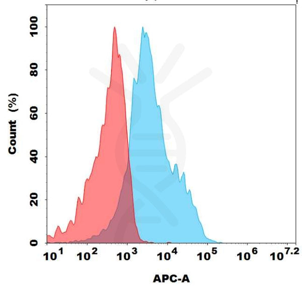 Biotinylated Anti-CD73 antibody(DM204), Rabbit mAb – Figure 1 of 1