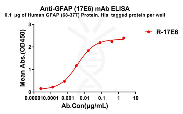 Anti-GFAP(68-377) antibody(17E6), Rabbit mAb – Figure 1 of 1