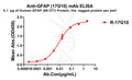 Anti-GFAP(68-377) antibody(17G10), Rabbit mAb – Figure 1 of 1
