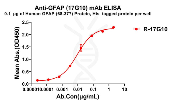 Anti-GFAP(68-377) antibody(17G10), Rabbit mAb – Figure 1 of 1