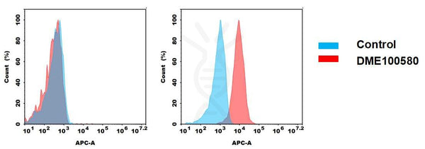 Anti-Her3 antibody(55A1), Rabbit mAb – Figure 1 of 1
