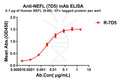 Anti-NEFL(9-88) antibody(7D5), Rabbit mAb – Figure 1 of 1