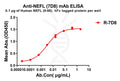 Anti-NEFL(9-88) antibody(7D8), Rabbit mAb – Figure 1 of 1