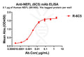 Anti-NEFL(89-400) antibody(6C5), Rabbit mAb – Figure 1 of 1