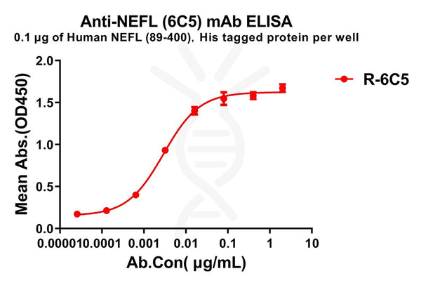 Anti-NEFL(89-400) antibody(6C5), Rabbit mAb – Figure 1 of 1