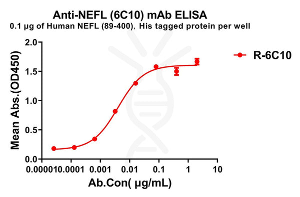Anti-NEFL(89-400) antibody(6C10), Rabbit mAb – Figure 1 of 1