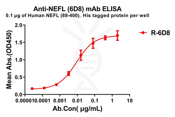 Anti-NEFL(89-400) antibody(6D8), Rabbit mAb – Figure 1 of 1