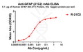 Anti-GFAP(68-377) antibody(21C2), Rabbit mAb – Figure 1 of 1