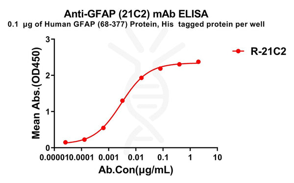 Anti-GFAP(68-377) antibody(21C2), Rabbit mAb – Figure 1 of 1