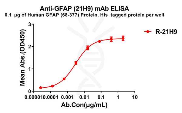 Anti-GFAP(68-377) antibody(21H9), Rabbit mAb – Figure 1 of 1