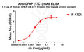 Anti-GFAP(68-377) antibody(17C1), Rabbit mAb – Figure 1 of 1