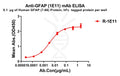 Anti-GFAP(7-66) antibody(1E11), Rabbit mAb – Figure 1 of 1