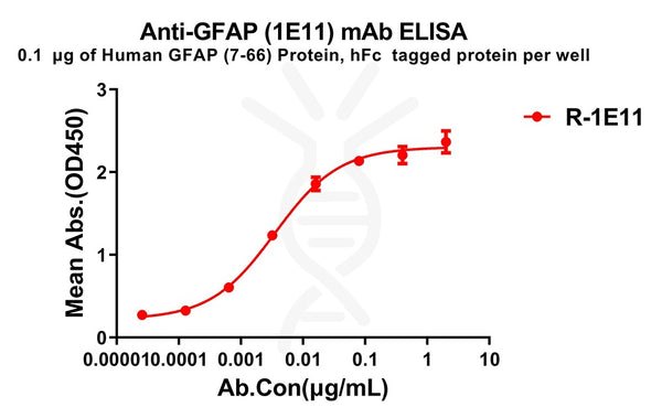 Anti-GFAP(7-66) antibody(1E11), Rabbit mAb – Figure 1 of 1