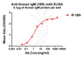 Anti-Human IgM antibody(1B9), Rabbit mAb – Figure 1 of 1
