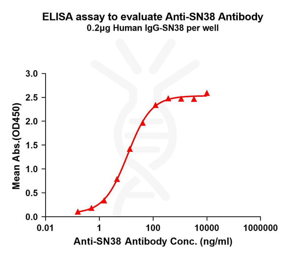 Anti-SN38 antibody(1G1), Rabbit mAb – Figure 1 of 1