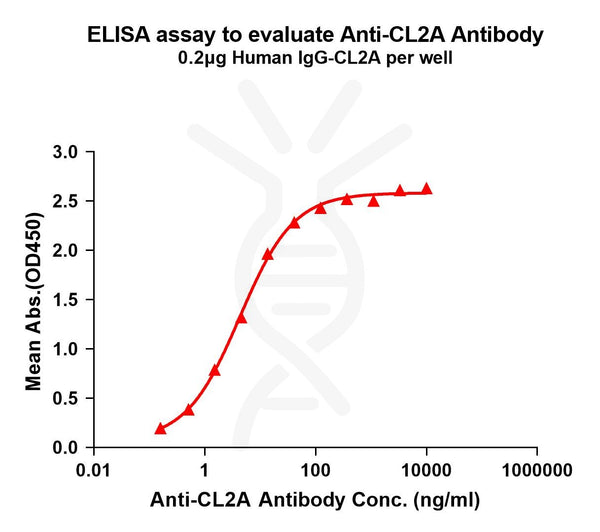 Anti-CL2A(ADC linker) antibody(1H6), Rabbit mAb – Figure 1 of 1