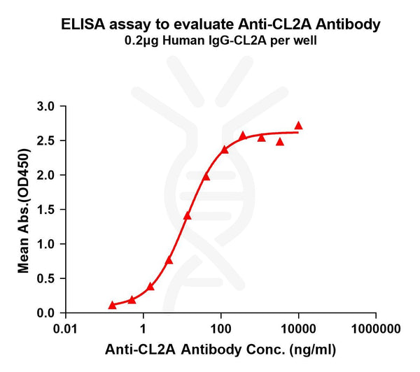 Anti-CL2A(ADC linker) antibody(1G9), Rabbit mAb – Figure 1 of 1