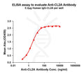 Anti-CL2A(ADC linker) antibody(1H2), Rabbit mAb – Figure 1 of 1