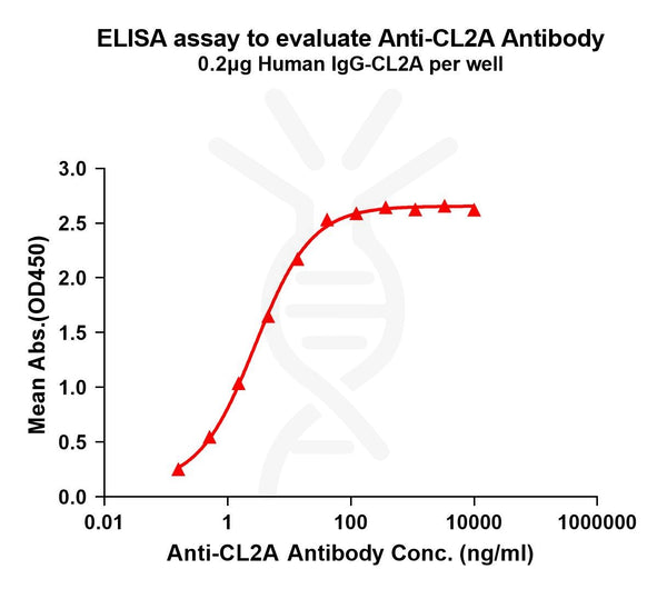 Anti-CL2A(ADC linker) antibody(1H2), Rabbit mAb – Figure 1 of 1