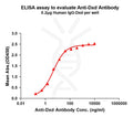 Anti-Dxd antibody(1A1), Rabbit mAb – Figure 1 of 1