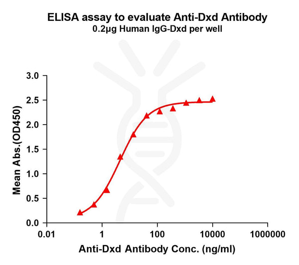 Anti-Dxd antibody(1A1), Rabbit mAb – Figure 1 of 1
