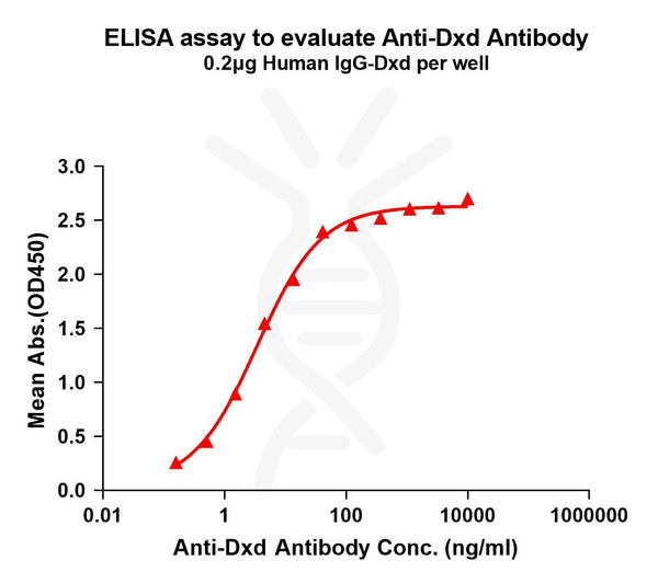 Anti-Dxd antibody(1A5), Rabbit mAb – Figure 1 of 1