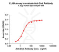Anti-Dxd antibody(1A12), Rabbit mAb – Figure 1 of 1