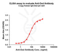 Anti-Dxd antibody(1E6), Rabbit mAb – Figure 1 of 1