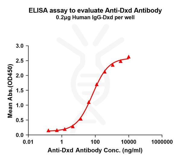 Anti-Dxd antibody(1E6), Rabbit mAb – Figure 1 of 1