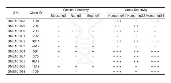 Anti-Human IgG antibody(5B4), Rabbit mAb – Figure 1 of 1