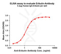 Anti-Eribulin antibody(2E4), Rabbit mAb – Figure 1 of 1