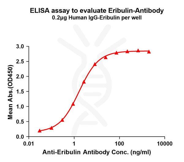 Anti-Eribulin antibody(2E4), Rabbit mAb – Figure 1 of 1