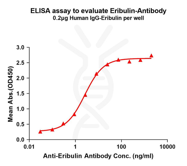 Anti-Eribulin antibody(3E2), Rabbit mAb – Figure 1 of 1