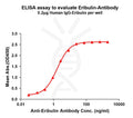 Anti-Eribulin antibody(3G1), Rabbit mAb – Figure 1 of 1