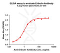 Anti-Eribulin antibody(3G5), Rabbit mAb – Figure 1 of 1