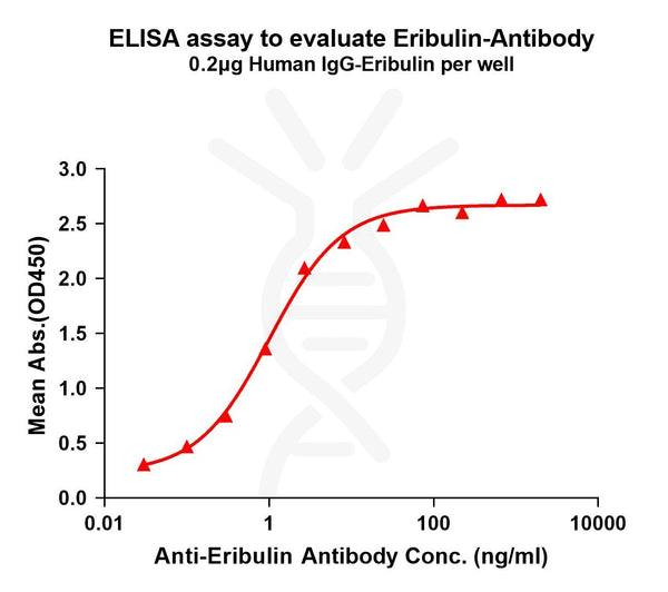 Anti-Eribulin antibody(3G5), Rabbit mAb – Figure 1 of 1