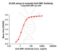 Anti-DM1 antibody(14E3), Rabbit mAb – Figure 1 of 1