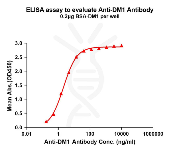 Anti-DM1 antibody(14E3), Rabbit mAb – Figure 1 of 1