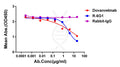 Anti-Feline IL31 antibody(6G1), Rabbit mAb – Figure 1 of 1